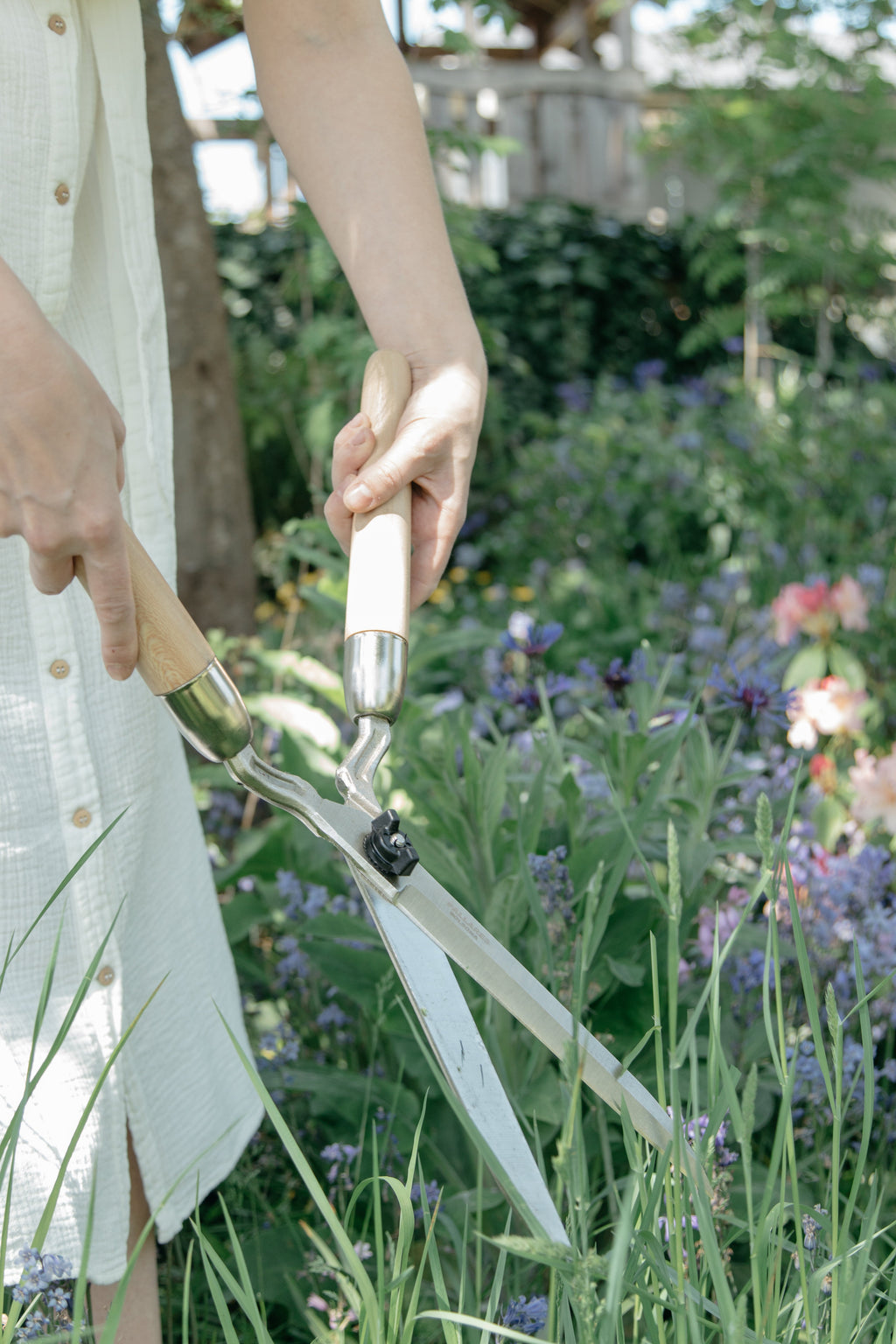 June Hedge Shears