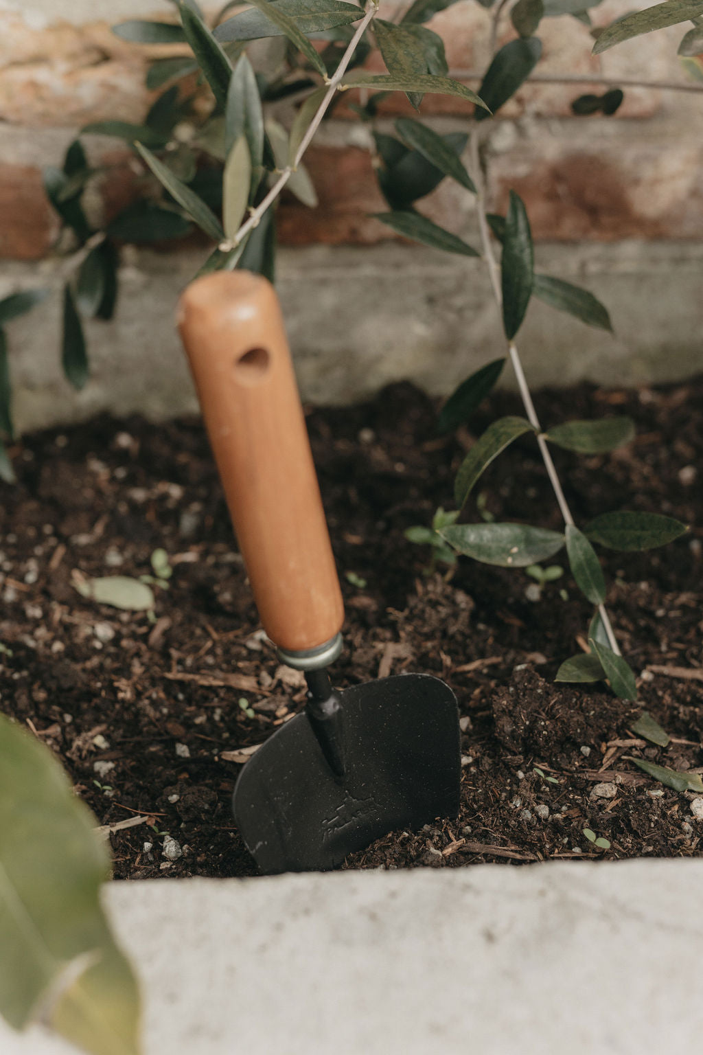June Rustic Garden Trowel