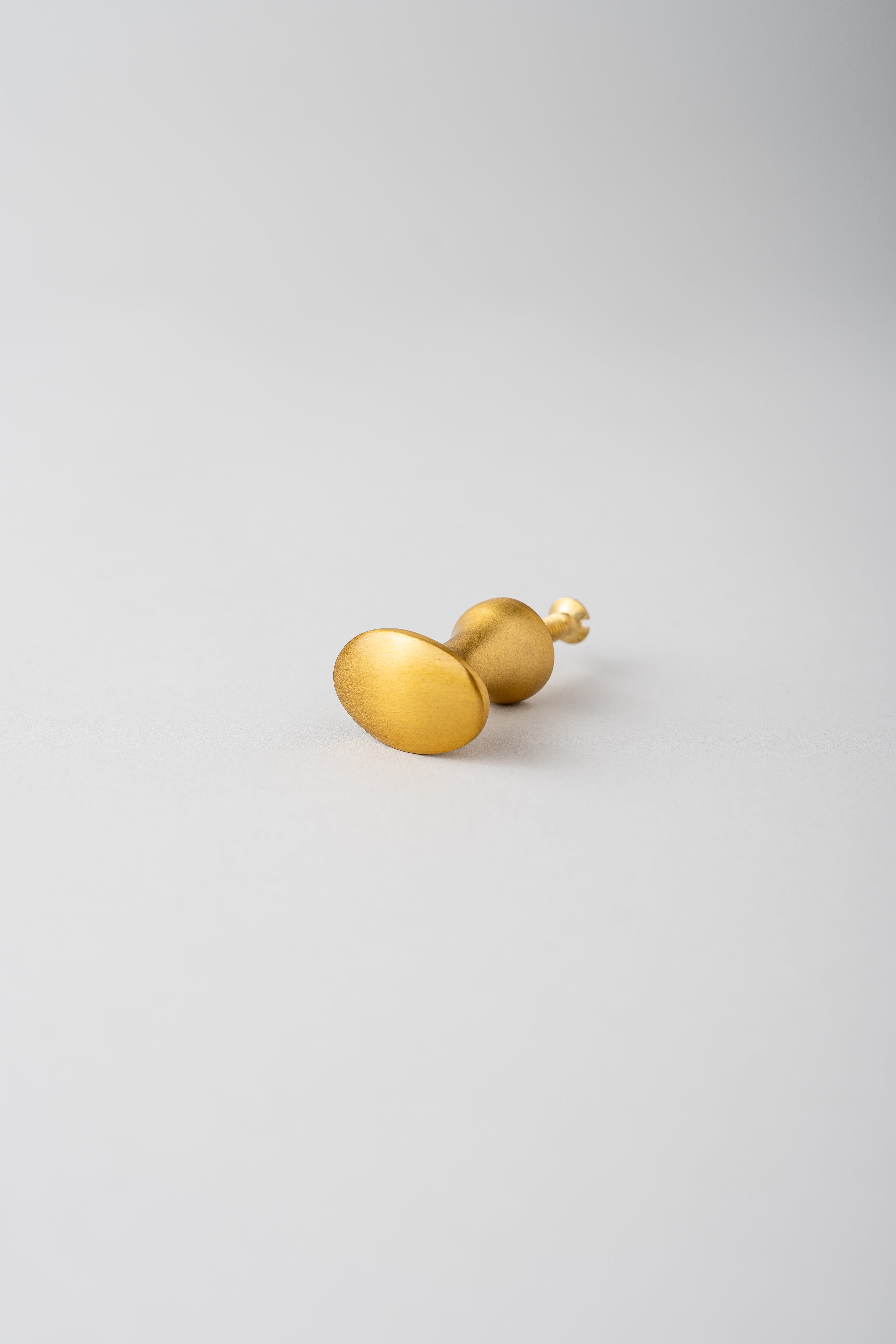 Brass Knob Oval - Medium