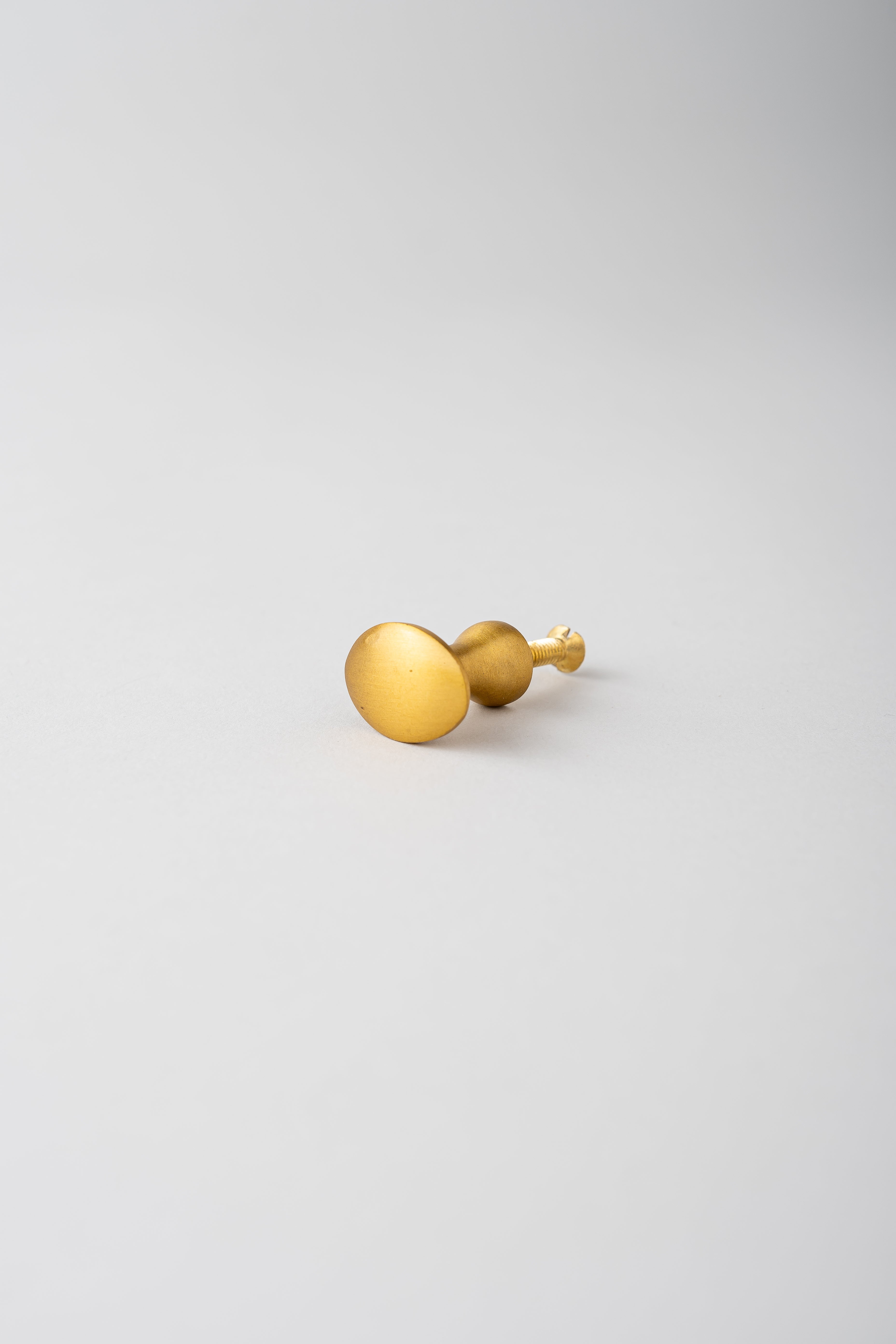 Brass Knob Oval - Small