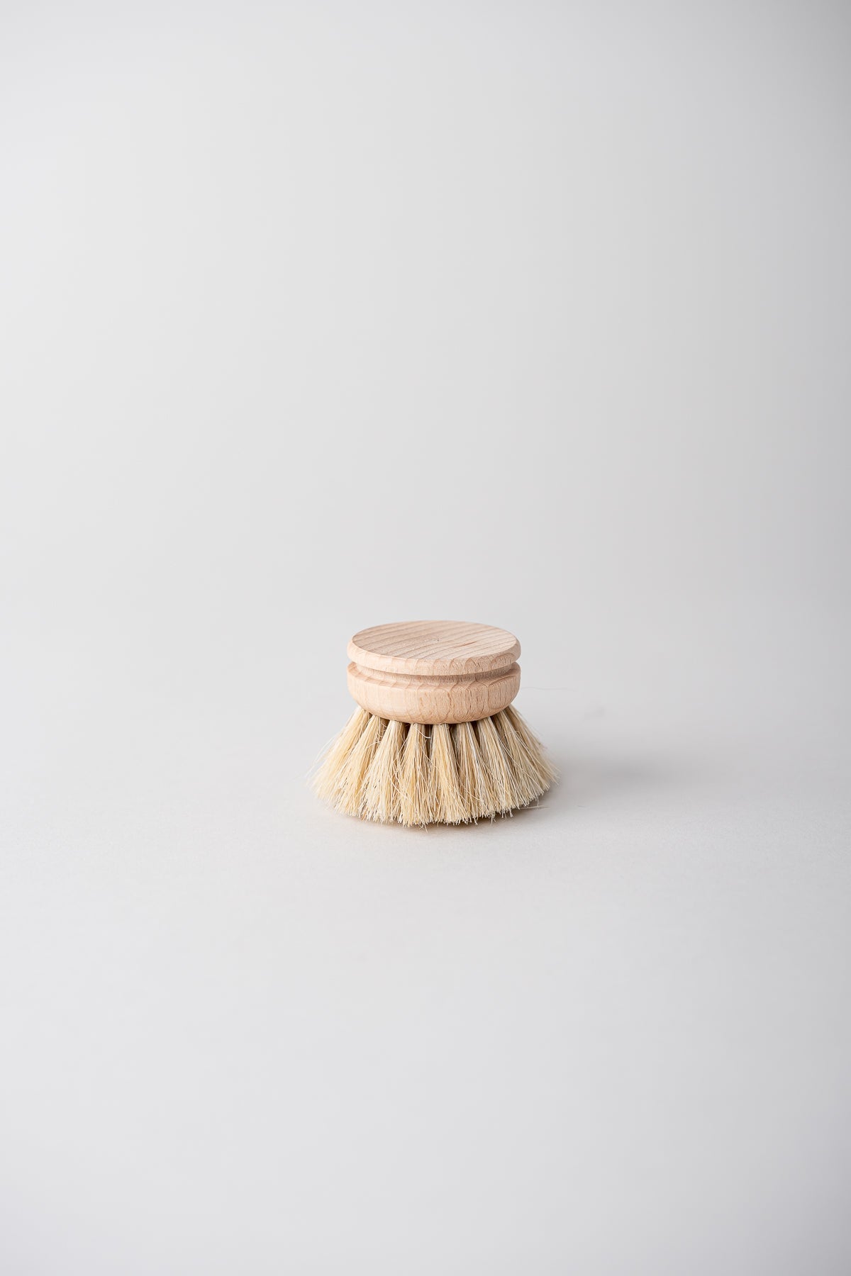 June Dish Brush - Replacement Head