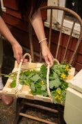 Harvest Basket