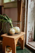 Round Pot