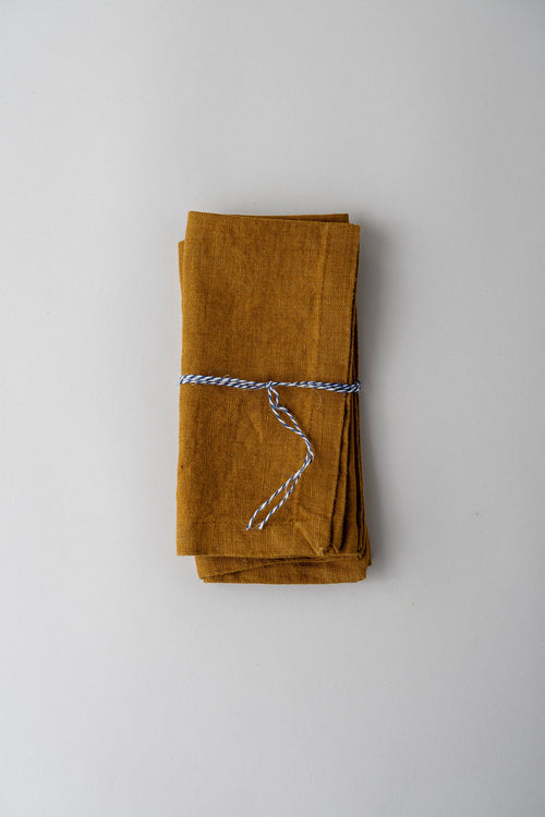 Linen Napkins - Set of 2 - Harvest