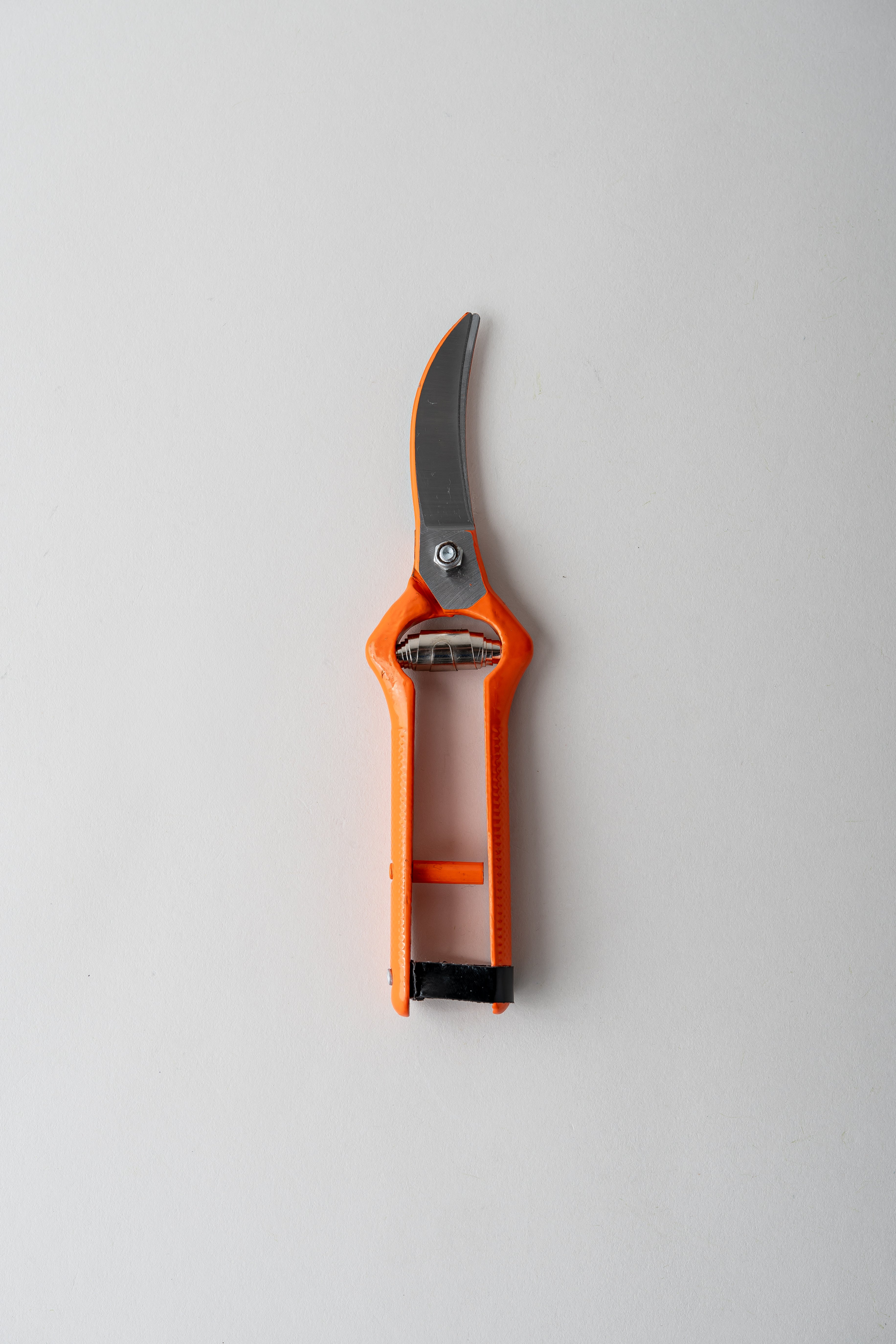 Pruning Shears - Curved