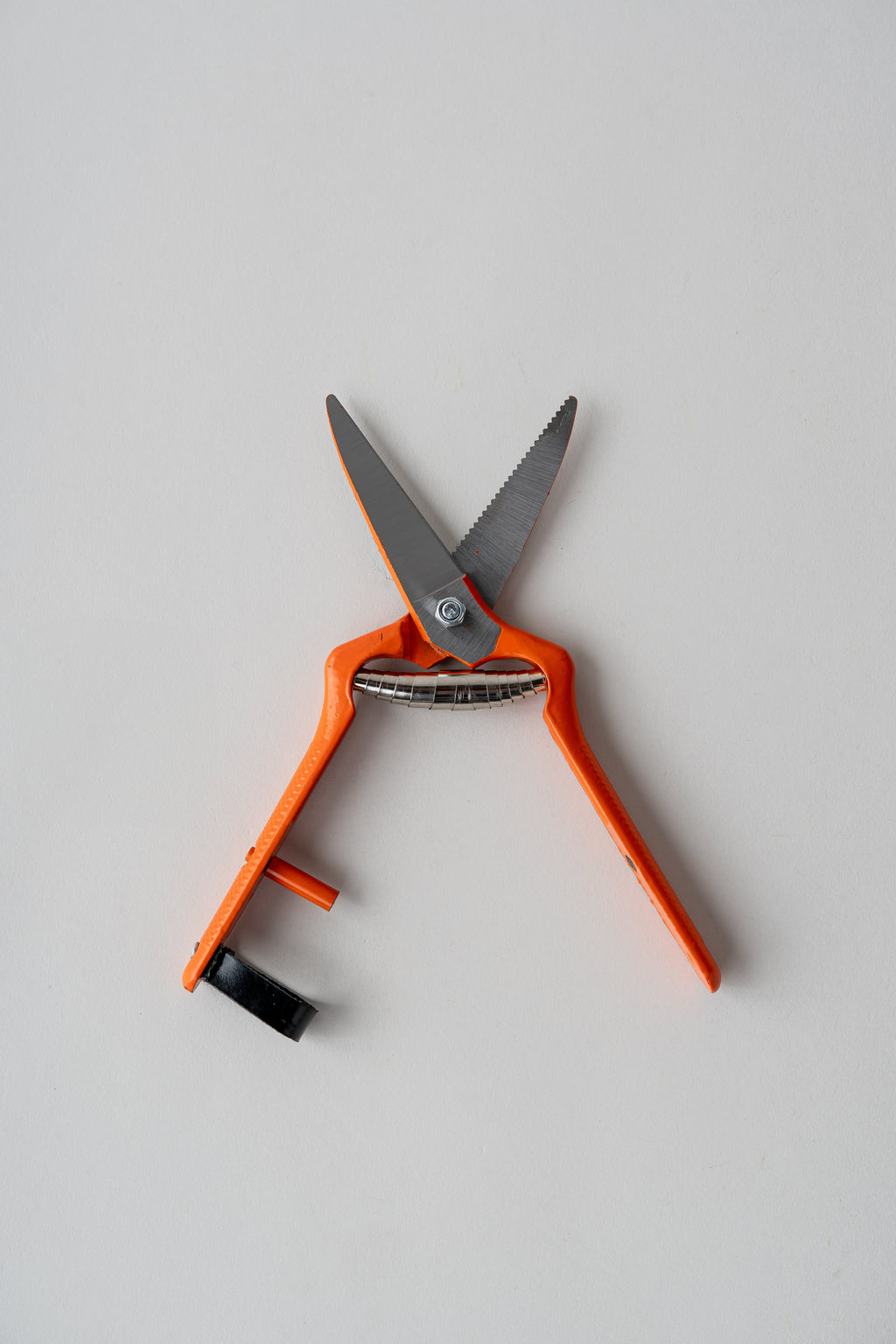 June Pruning Shears - Straight