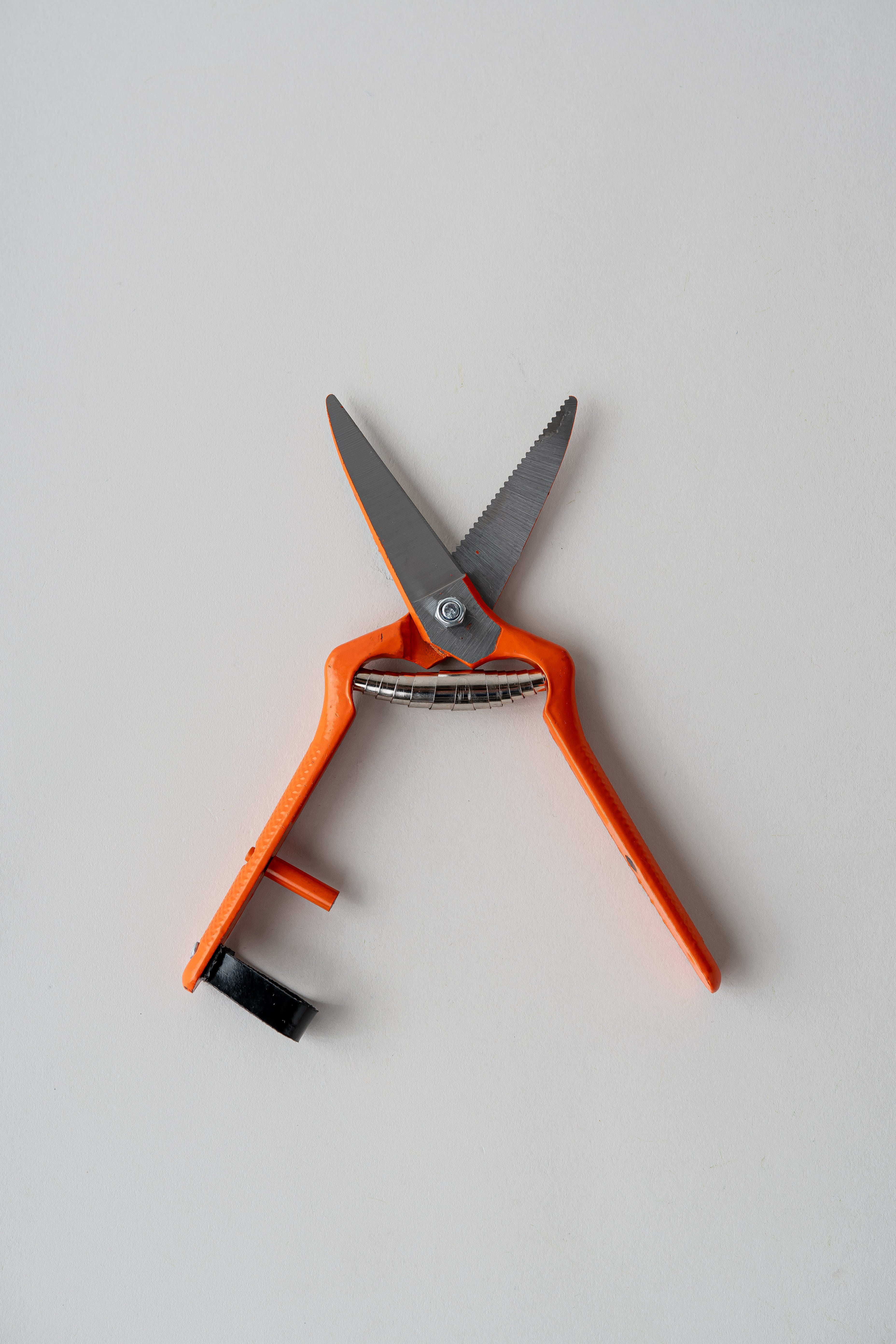 June Pruning Shears - Straight