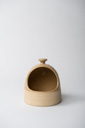 Scotia Salt Cellar