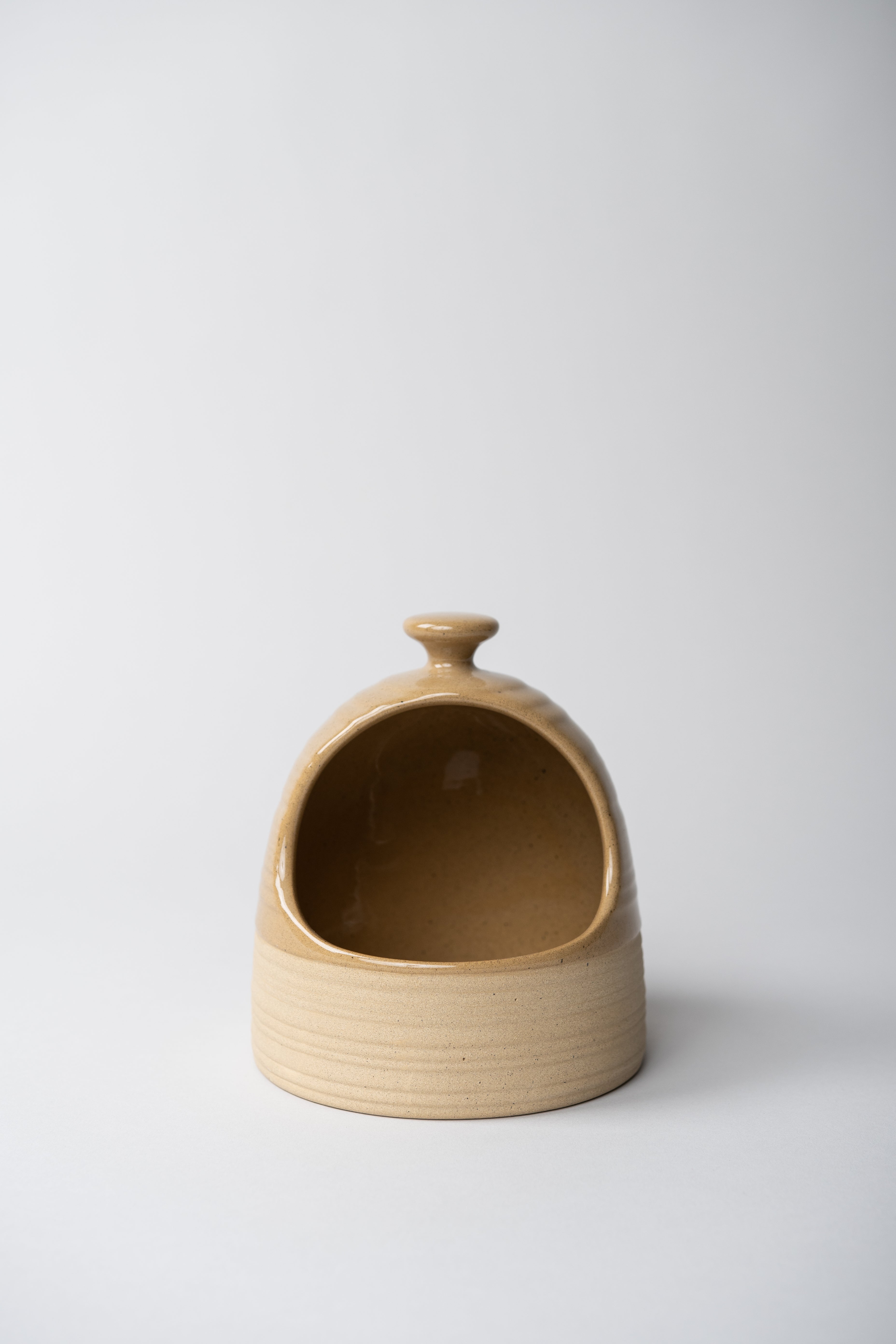 Scotia Salt Cellar