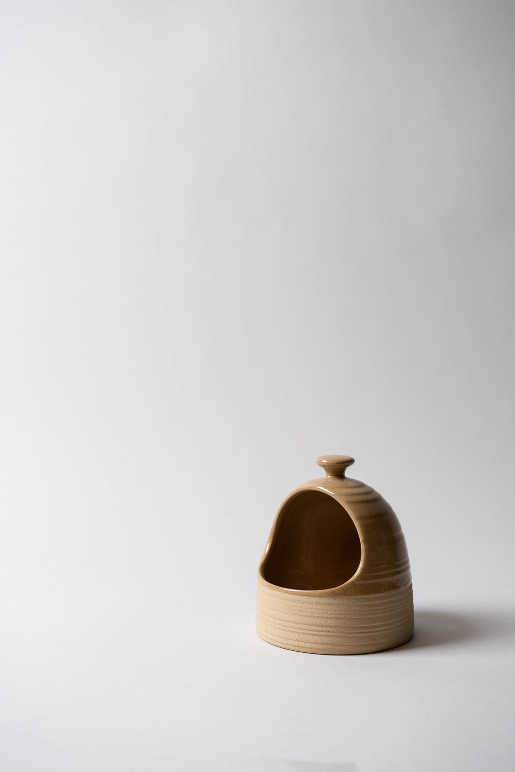 June Scotia Salt Cellar