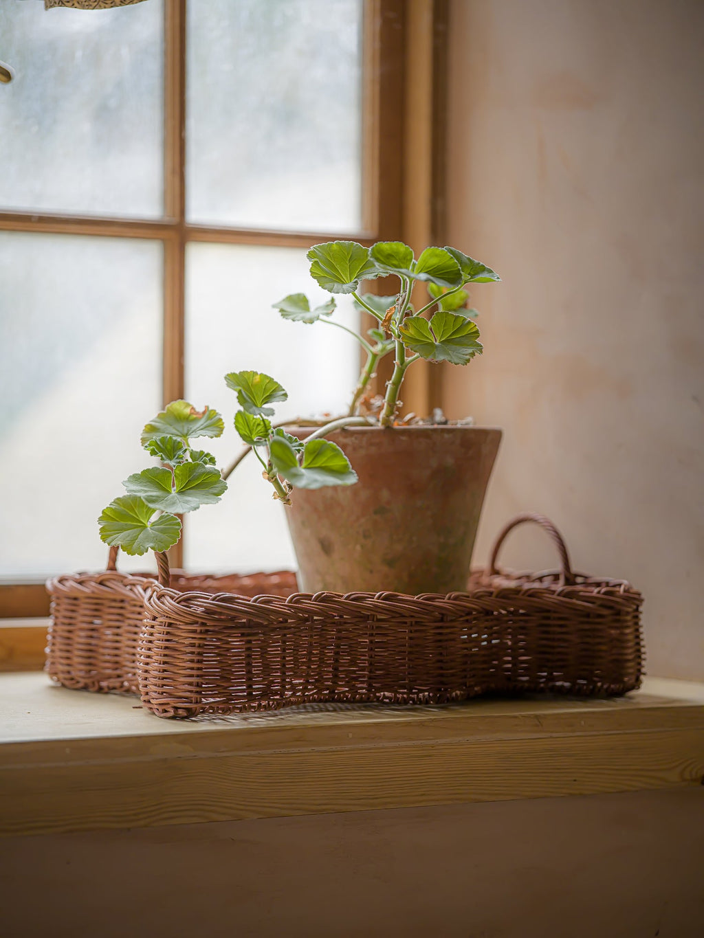 June Vera Rattan Tray - Small