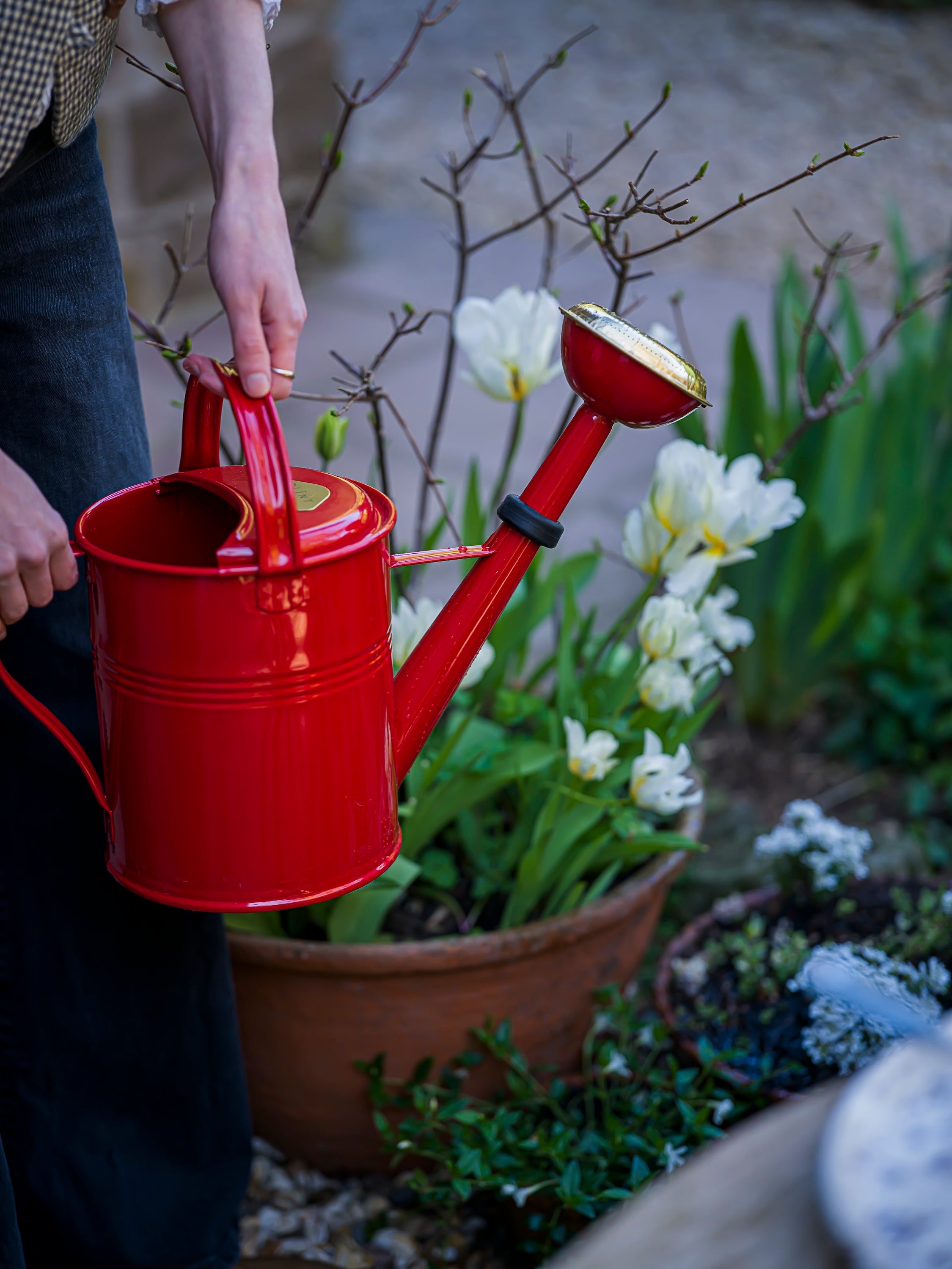 June Watering Can - Red