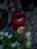 Watering Can - Red