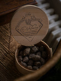 Pinecone Fire Starters