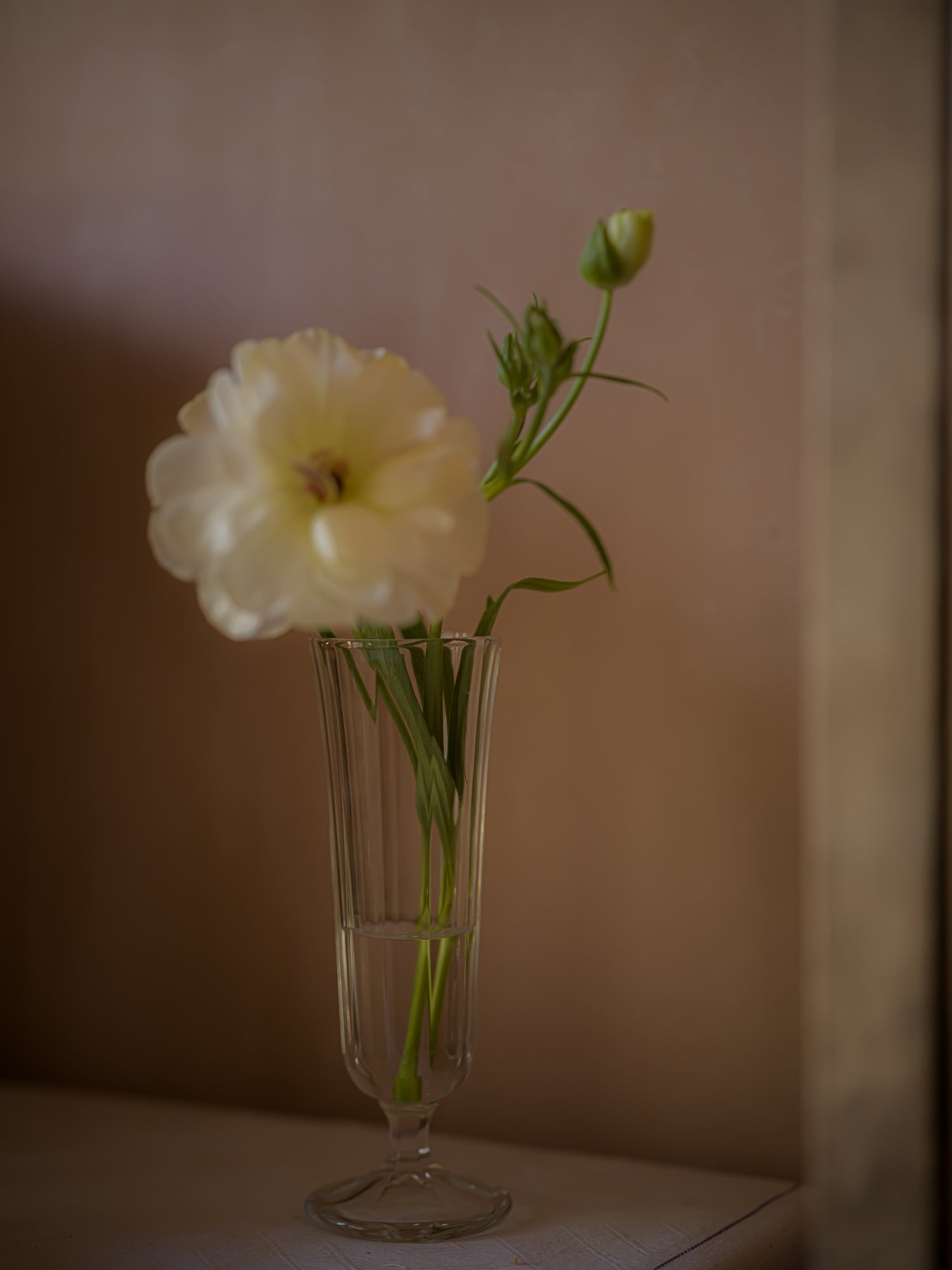 June Anna Champagne Flute